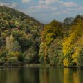 Herbstwald